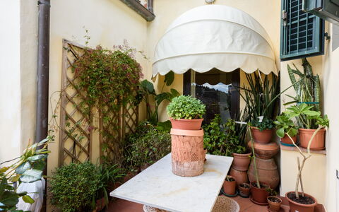 Residenza Del Desco: Pflanze, Eigentum, Gebäude, Blumentopf, Zimmerpflanze, Holz, Interior Design, Flooring, Fenster, Fussboden
