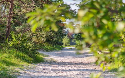 Johan - 200M from the Sea
