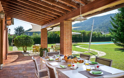 Le Vigne 4: Tabelle, Pflanze, Möbel, Geschirr, Eigentum, Blumentopf, Stuhl, Schatten, Interior Design, Gartenmöbel