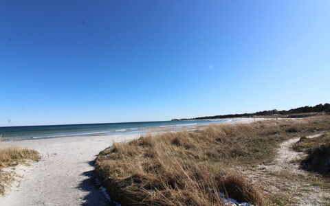 Kirsi - 200M from the Sea: Dach, Zuhause, Tür, Hütte, Schatten, Abstellgleis, Garten, Estate, Hinterhof