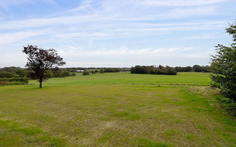 Landuin - 30Km from the Sea: Gras, Wiese, Landschaft, Ökoregion, Einfach, Pflanzengemeinschaft, Grundstueck, Gartenmöbel, Prärie, Shrubland