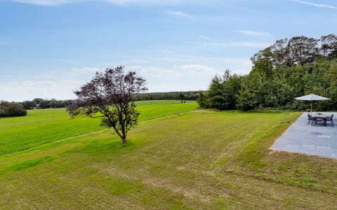 Landuin - 30Km from the Sea: Gras, Wiese, Landschaft, Ökoregion, Einfach, Pflanzengemeinschaft, Grundstueck, Gartenmöbel, Prärie, Shrubland
