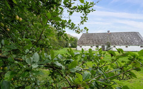 Landuin - 30Km from the Sea: Gras, Wiese, Landschaft, Ökoregion, Einfach, Pflanzengemeinschaft, Grundstueck, Gartenmöbel, Prärie, Shrubland
