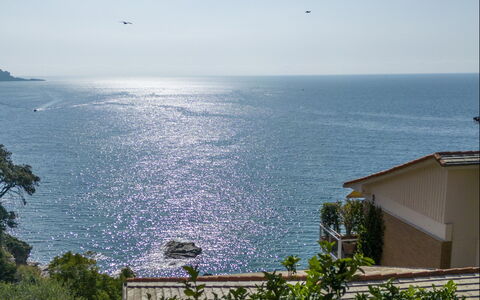 A Due Passi da Camogli 2, Seaview, Wifi: Wasser, Himmel, Gebäude, Azurblau, Vegetation, Küsten Und Ozeanische Forms, Pflanze, Morgen, Horizont, Haus