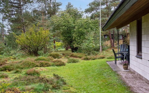 Fulla - 650M from the Sea: Gras, Vegetation, Strauch, Garten, Pflanzengemeinschaft, Grundstueck, Ground, Hütte