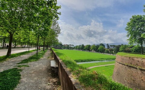 Casa Toto: Grün, Gras, Einfach, Ground, Garten, Rasen, Landscaping, Walkway, Park, Plantage
