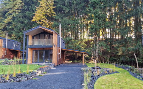 Luxe Timber Lodge & Relaxing Bath: Pflanze, Natur, Baum, Natürliche Landschaft, Grundstueck, Holz, Biome, Hütte, Gebäude, Wohngebiet