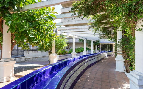 Salou 303: Pflanze, Daytime, Licht, Infrastruktur, Strassenbelag, Urban Design, Baum, Gelb, Schatten, Linie