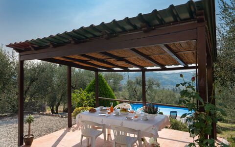 Casa Mimy: Himmel, Pflanze, Eigentum, Tabelle, Schatten, Botanik, Die Architektur, Gartenmöbel, Baum, Pergola