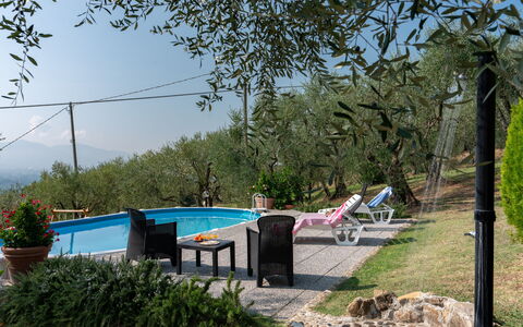 Casa Mimy: Pflanze, Himmel, Wasser, Schwimmbad, Schatten, Baum, Gartenmöbel, Gras, Freizeit, Landschaft