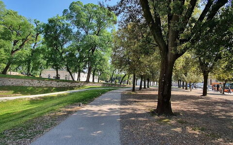 La Colonna: Pflanze, Himmel, Baum, Strassenbelag, Schatten, Natürliche Landschaft, Durchgangsstrasse, Gras, Landschaft, Asphalt