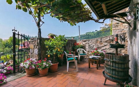 La Casa del Fale di Collodi: Blumentopf, Zimmerpflanze, Frühling, Garten, Floristik, Balkon, Hof, Blumendesign