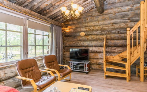 Vasamooli 5: Holz, Hütte, Blockhaus, Wald, Schuppen, Gartenbauten, Lärche, Wald, Holzbeize