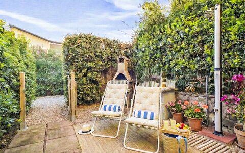 Happy Island: Strauch, Blumentopf, Garten, Gartenmöbel, Zimmerpflanze, Stuhl, Hinterhof, Landscaping, Schatten