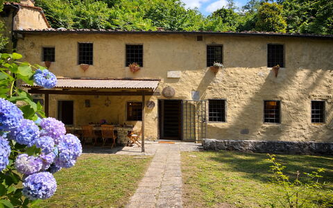 Molin Barletta, Private Pool, Nature - Marliana, T: Haus, Strauch, Hütte, Estate, Ländliches Gebiet, Hinterhof, Garten, Garten, Hazienda, Rasen