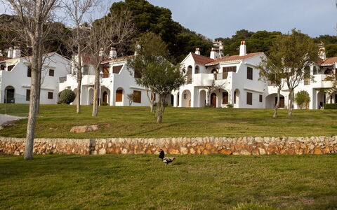 Son Bou Gardens 3 Dorm: Himmel, Wasser, Gebäude, Eigentum, Pflanze, Azurblau, Schwimmbad, Wolke, Freizeit, Fenster