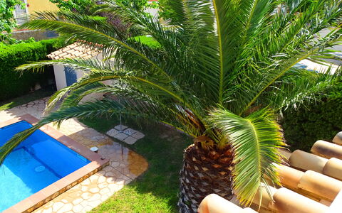 Villa Marisol: Pflanze, Baum, Terrestrische Plant, Arecales, Obst, Gras, Palme, Gartenmöbel, Immergrün, Schatten
