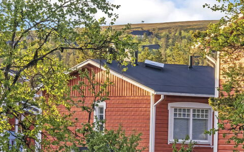 Luulampi F6: Blatt, Ast, Holz, Haus, Strauch, Zuhause, Dach, Hütte, Die Architektur, Wohngebiet