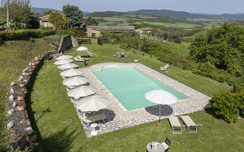 Podere Marcigliana - Radicondoli: Pflanze, Himmel, Baum, Grundstueck, Schwimmbad, Urban Design, Landschaft, Freizeit, Schatten, Gras