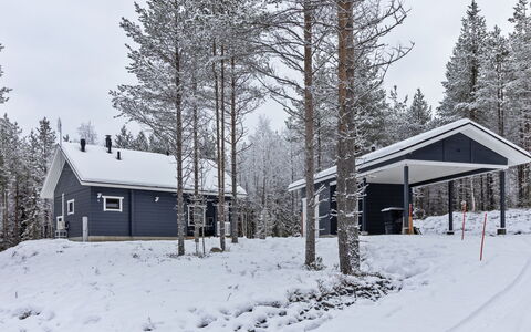 Mäkitie 4: Baum, Bank, Haus, Hütte, See, Teich, Wald, Blockhaus