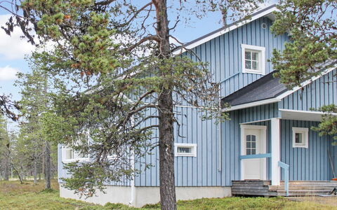 Kermikkä: Holz, Hütte, Blockhaus, Wald, Schuppen, Gartenbauten, Lärche, Wald, Holzbeize