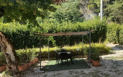 Villa Le Ripe Apartments - Gambassi Terme, Toscana: Pflanze, Pflanzengemeinschaft, Natürliche Landschaft, Baum, Schatten, Grundstueck, Gras, Gartenmöbel, Strauch, Ground