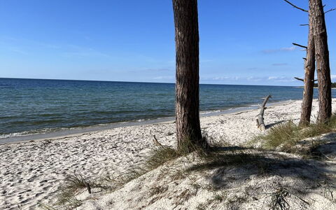 Micaela - 450M from the Sea: Holz, Dach, Die Architektur, Zuhause, Haus, Hütte, Abstellgleis, Hartholz, Steigung, Estate