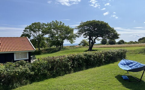 Marlies - 300M from the Sea: Gras, Wiese, Landschaft, Ökoregion, Einfach, Pflanzengemeinschaft, Grundstueck, Gartenmöbel, Prärie, Shrubland