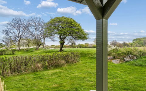 Marlies - 300M from the Sea: Gras, Wiese, Landschaft, Ökoregion, Einfach, Pflanzengemeinschaft, Grundstueck, Gartenmöbel, Prärie, Shrubland