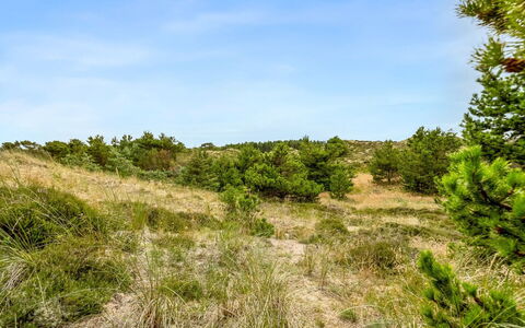 Vemund - 300M from the Sea: Gras, Wiese, Grundstueck, Hütte, Ländliches Gebiet, Wiese, Gartenbauten, Garten, Schuppen