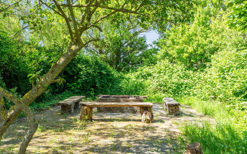 Eliane - 1.8Km from the Sea: Holz, Dach, Die Architektur, Zuhause, Haus, Hütte, Abstellgleis, Hartholz, Steigung, Estate