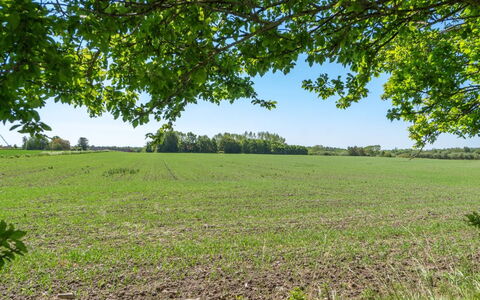 Eliane - 1.8Km from the Sea: Holz, Dach, Die Architektur, Zuhause, Haus, Hütte, Abstellgleis, Hartholz, Steigung, Estate