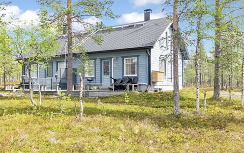 Velho 2: Holz, Hütte, Blockhaus, Wald, Schuppen, Gartenbauten, Lärche, Wald, Holzbeize