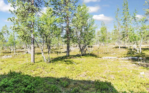 Tunturikoivu B2: Holz, Schnee, Winter, Hütte, Einfrieren, Zuhause, Blockhaus, Lärche, Abstellgleis