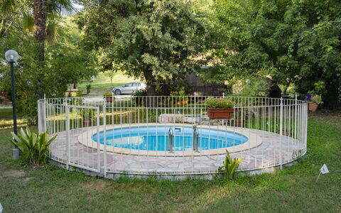 Podere Vallino: Pflanze, Baum, Wasser, Zaun, Schatten, Freizeit, Home Fechten, Gras, Erholung, Schwimmbad