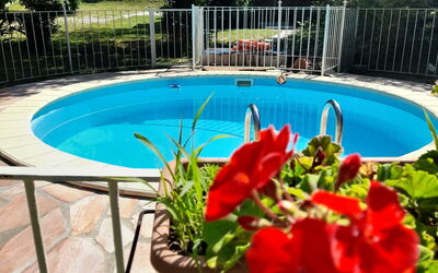Podere Elsa: Wasser, Blume, Pflanze, Gebäude, Schwimmbad, Blumentopf, Baum, Azurblau, Botanik, Zaun