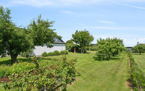 Alona - 90M from the Sea: Dach, Zuhause, Tür, Hütte, Schatten, Abstellgleis, Garten, Estate, Hinterhof