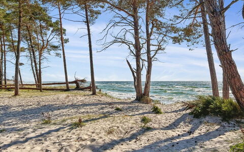 Ellynor - 600M from the Sea: Blau, Natürlichen Umgebung, Holz, Küste, Strand, Küsten Und Ozeanische Forms, Ufer, Meer, Ozean, Sand