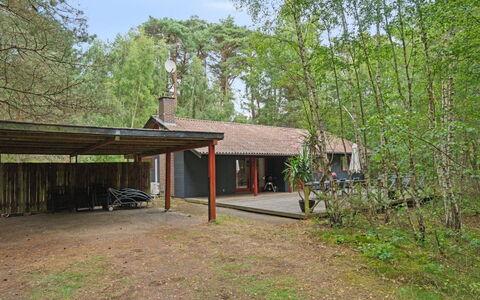 Clementine - 1.2Km from the Sea: Holz, Dach, Die Architektur, Zuhause, Haus, Hütte, Abstellgleis, Hartholz, Steigung, Estate