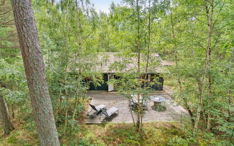 Clementine - 1.2Km from the Sea: Holz, Dach, Die Architektur, Zuhause, Haus, Hütte, Abstellgleis, Hartholz, Steigung, Estate