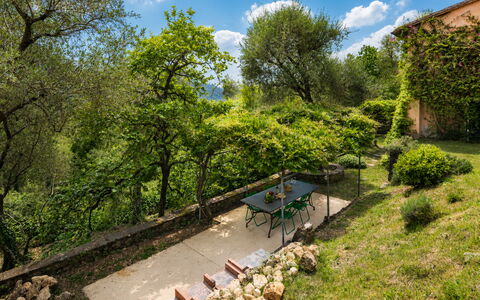La Casa Dei Limoni, Camaiore, Pet Friendly, Wifi: Blatt, Vegetation, Strauch, Ländliches Gebiet, Pflanzengemeinschaft, Garten, Grundstueck, Ground, Frühling, Sonnenlicht