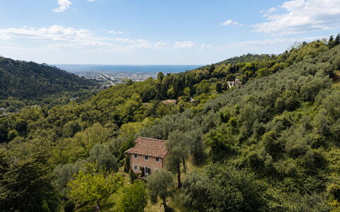 La Casa Dei Limoni, Camaiore, Pet Friendly, Wifi: Blatt, Natürlichen Umgebung, Natur, Vegetation, Natürliche Landschaft, Hügel, Hochland, Landschaft, Ökoregion, Pflanzengemeinschaft
