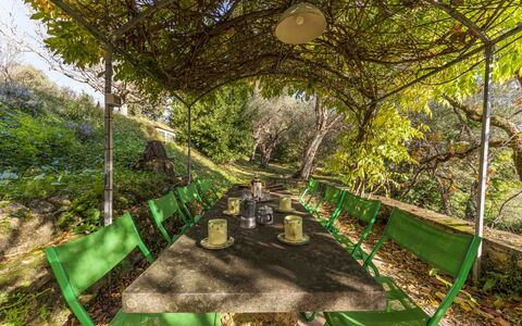 La Casa Dei Limoni, Camaiore, Pet Friendly, Wifi: Pflanze, Pflanzengemeinschaft, Grün, Natürliche Landschaft, Terrestrische Plant, Baum, Gras, Schatten, Gehölz, Freizeit