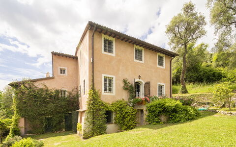 La Casa Dei Limoni, Camaiore, Pet Friendly, Wifi: Baum, Gras, Haus, Strauch, Zuhause, Ländliches Gebiet, Hütte, Landschaft, Grundstueck