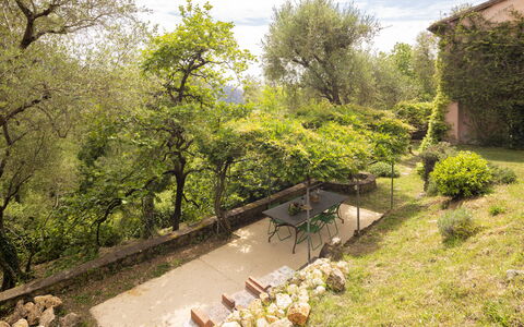 La Casa Dei Limoni, Camaiore, Pet Friendly, Wifi: Blatt, Vegetation, Strauch, Garten, Pflanzengemeinschaft, Ländliches Gebiet, Frühling, Hinterhof, Landscaping