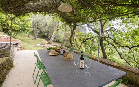 La Casa Dei Limoni, Camaiore, Pet Friendly, Wifi: Möbel, Tisch Im Freien, Gartenmöbel, Garten, Sonnenlicht, Schatten, Stuhl, Küche & Esszimmer Tisch, Hinterhof