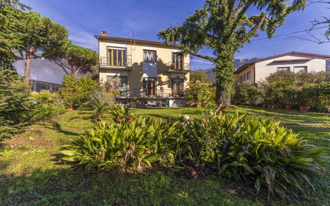 Casa Vacanza Mais - Camaiore, Toscana: Pflanze, Gebäude, Himmel, Fenster, Pflanzengemeinschaft, Azurblau, Baum, Haus, Grundstueck, Arecales