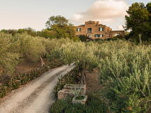 Carustica - Paceco, Sicilia