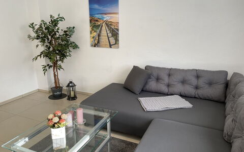 Haus Stefanie: Couch, Möbel, Eigentum, Pflanze, Blumentopf, Tabelle, Interior Design, Zimmerpflanze, Wohnzimmer, Fussboden