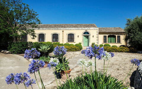 Casa Colore - Siracusa, Sicilia: Blume, Pflanze, Himmel, Gebäude, Eigentum, Fenster, Botanik, Azurblau, Haus, Baum